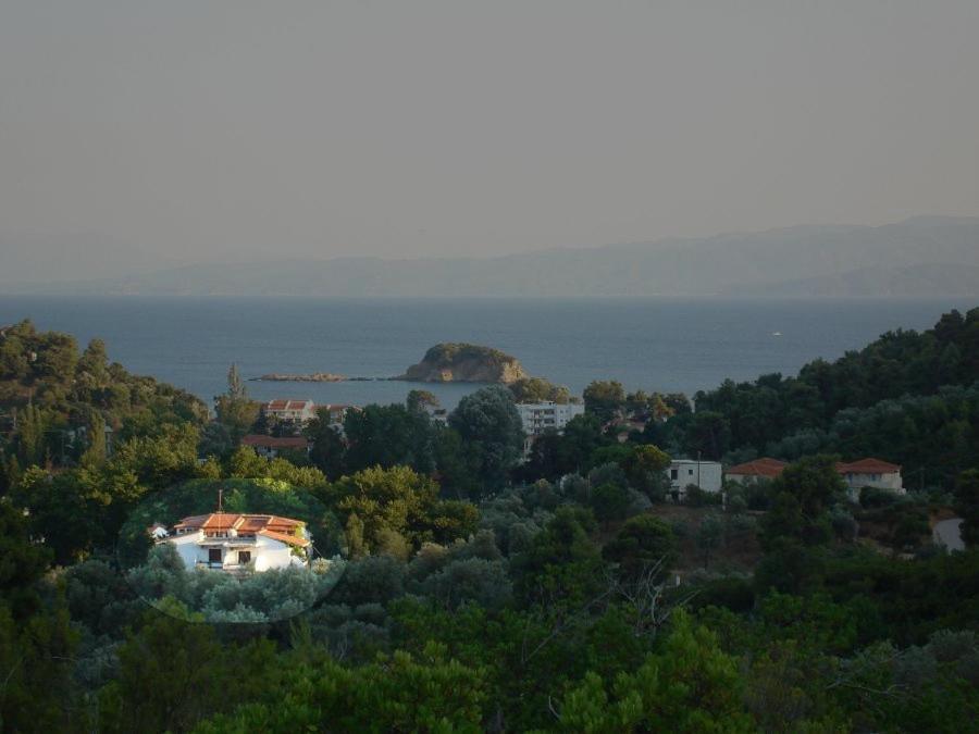 Zachos Troulos