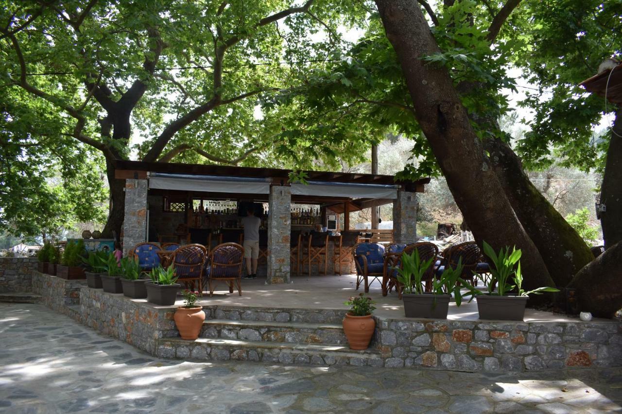 Zachos
